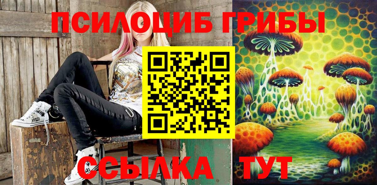 Галлюциногенные грибы MAGIC MUSHROOMS  Вход с VPN  Балашов 